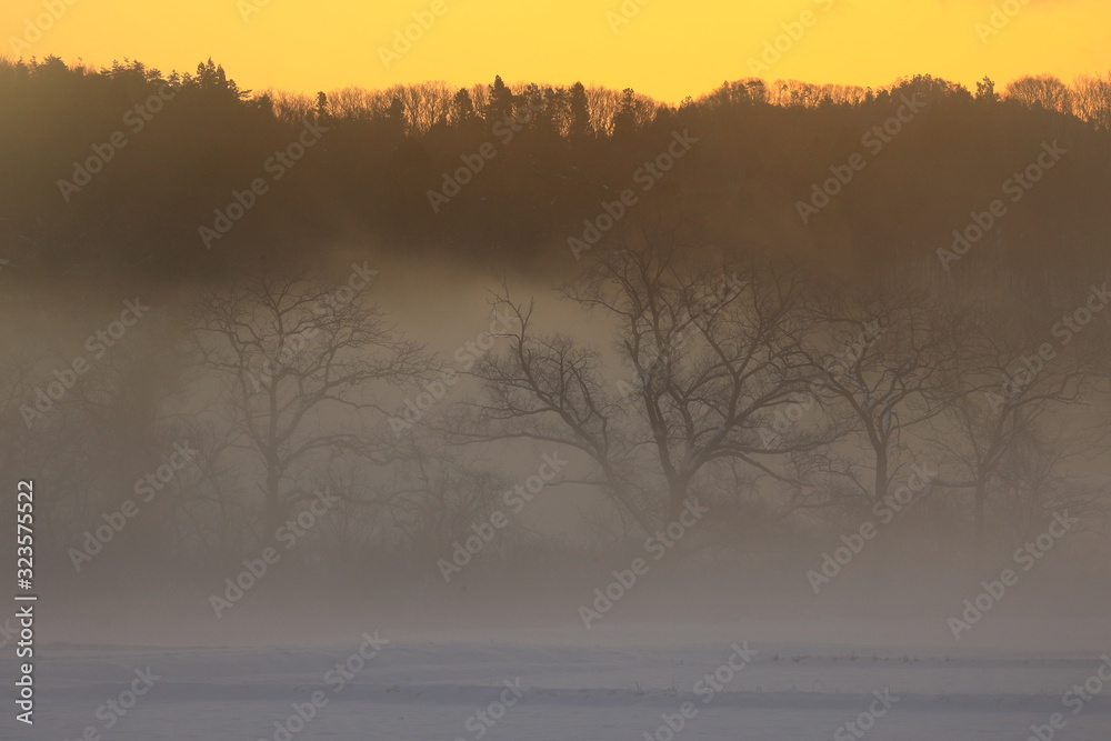 Fototapeta premium 霧の雪景色