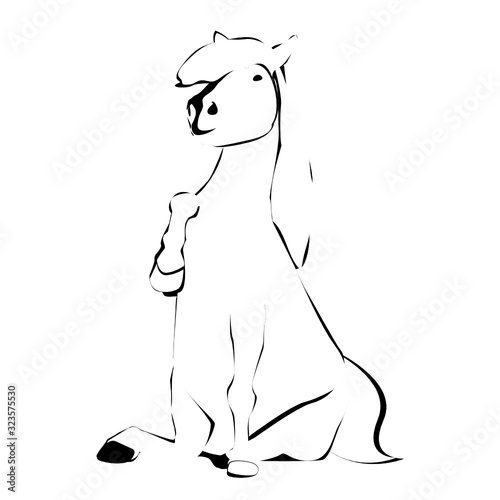 Pony