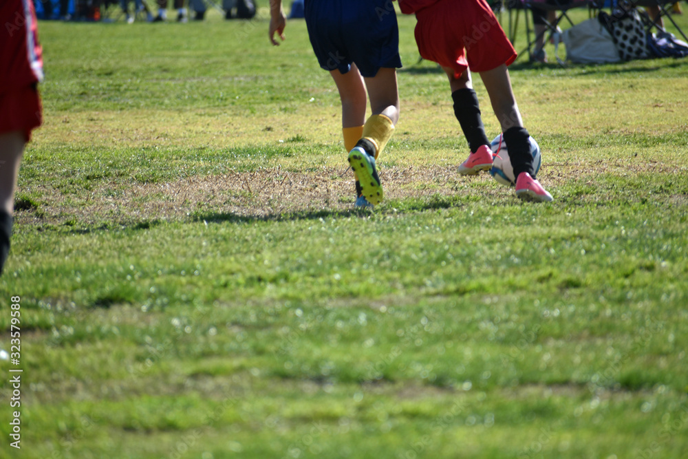 Obraz premium Soccer Footwork