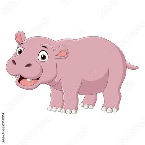Cute smiling hippo on white background