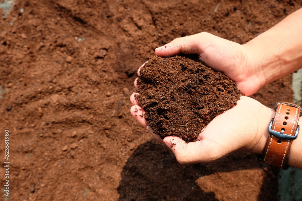 Ways To Utilize Unused Coffee Grounds