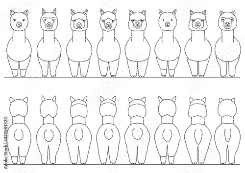 smiling alpacas border set, front and back