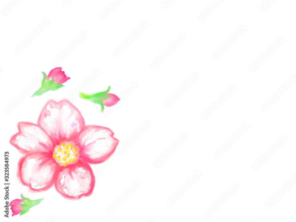 手描きの桜の花