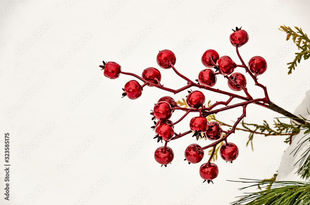 Shiny Red Berries on White Background 