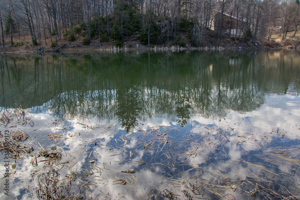 Mountain landscape, beautiful blue sky and white clouds, lake and trees reflection in the water, forest scenery, Smolyan, Bulgaria