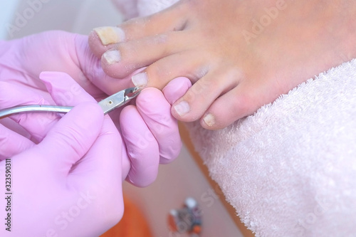 Pedicurist master making pedicure cutting cuticle with nail tongs on client s toes in beauty salon. Manual work. Cosmetologist beautician is making pedicure in cosmetology clinic using nippers.