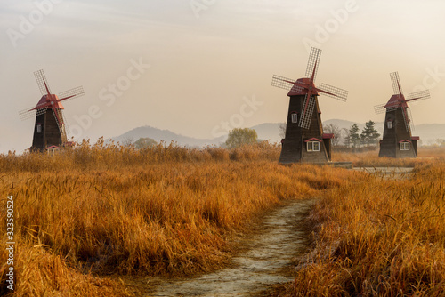 Yellow grasses and windmills in autumn.
