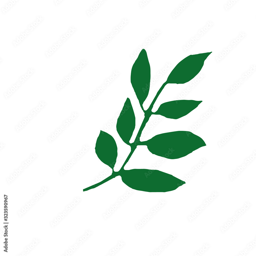 Fototapeta premium branch with leaves hand drawn in simple style. plant silhouette vector graphic element for design sticker, icon, postcard, poster. spring, summer, abstract greens