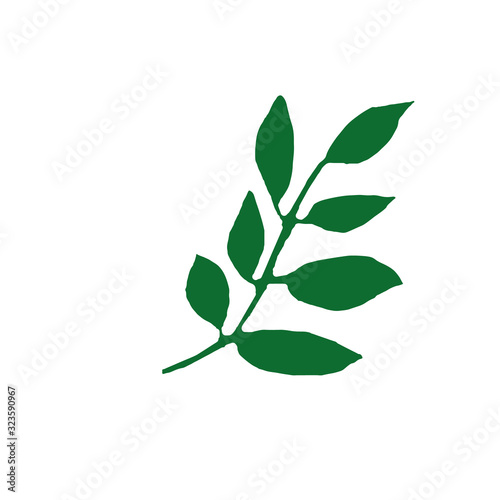 branch with leaves hand drawn in simple style. plant silhouette vector graphic element for design sticker, icon, postcard, poster. spring, summer, abstract greens