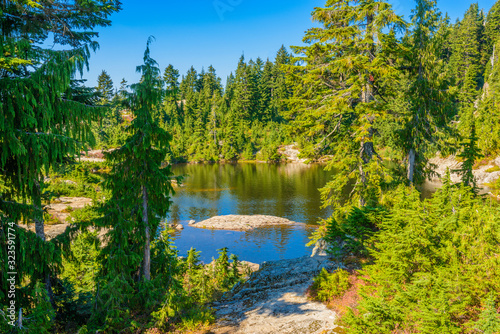 Majestic mountain wild forest lake in Canada.