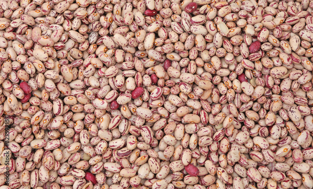 background of many fresh beans background of many fresh beans