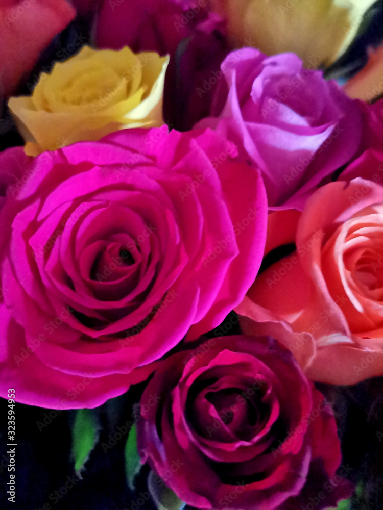 roses