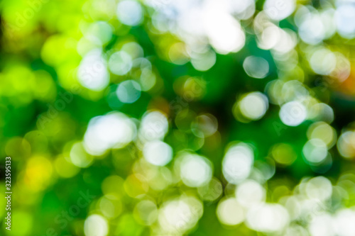 Abstract and defocused bokeh background. Ecological concept