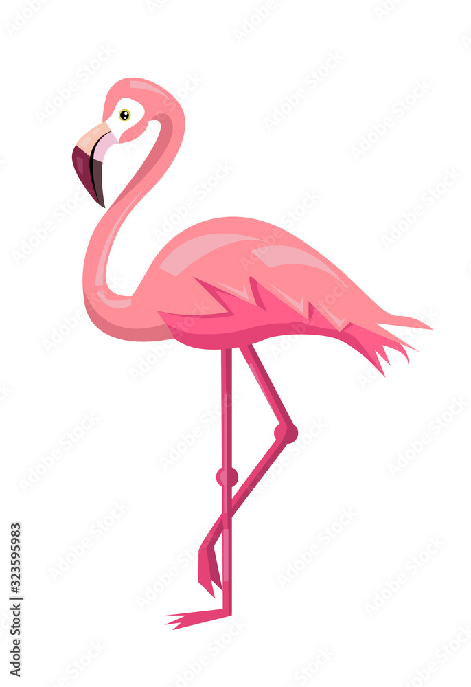 Flamingo bird illustration design on background