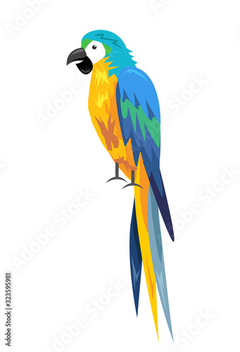 Colored parrot ,cartoon bird design