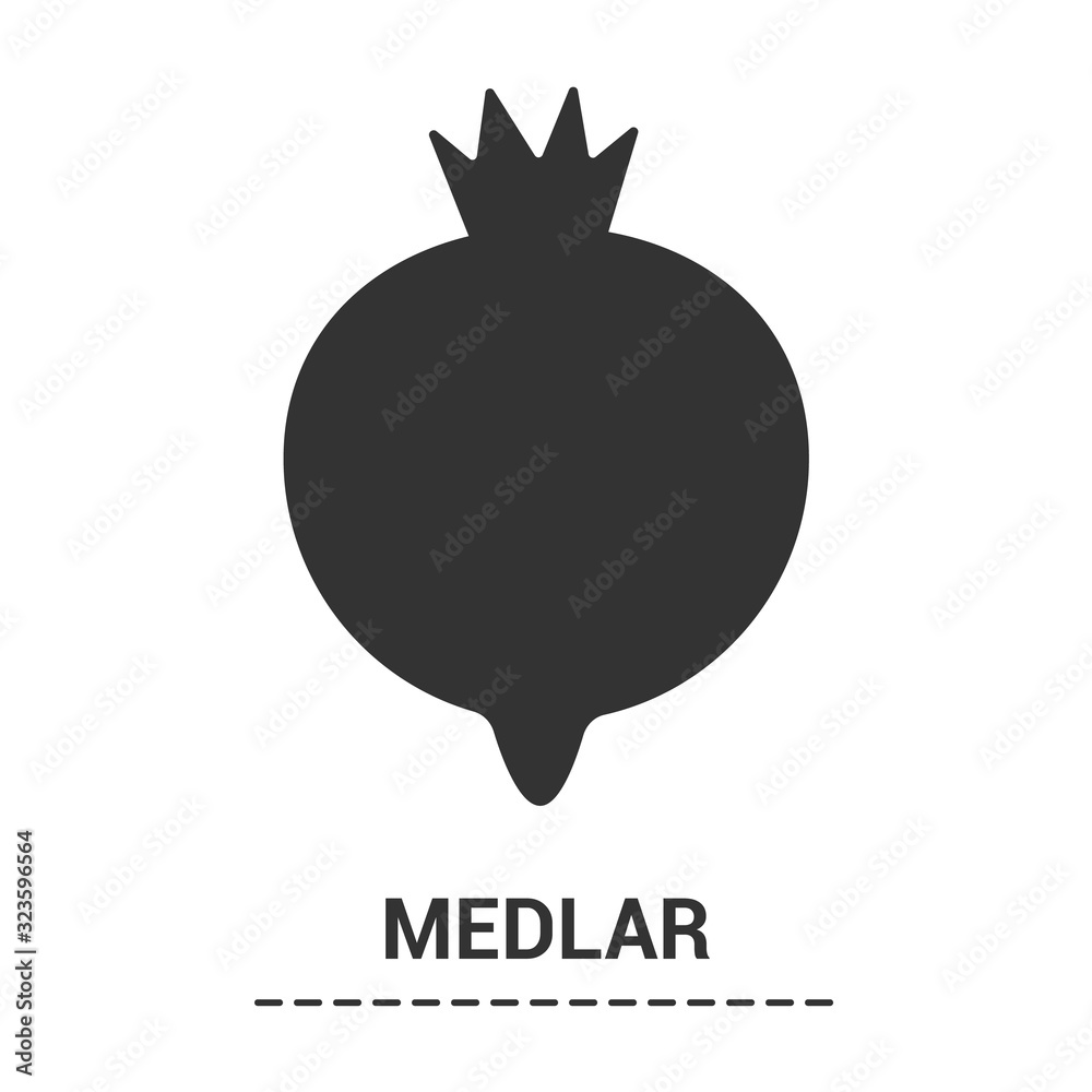 Glyph black icon of exotic fruit common medlar or Mespilus germanica, healthy organic food from nature. Isolated vector illustration on empty background. Silhouette symbol on white space. Glyph black icon of exotic fruit common medlar or Mespilus germanica, healthy organic food from nature. Isolated vector illustration on empty background. Silhouette symbol on white space.