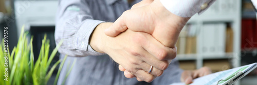 Fototapeta Naklejka Na Ścianę i Meble -  Two business people shaking hands as future prospects symbol close-up