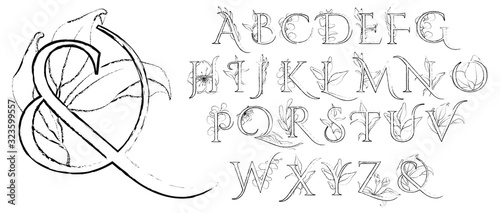 Line art alphabet with flowers and leaves. Romantic floral font. Hand drawn letters set