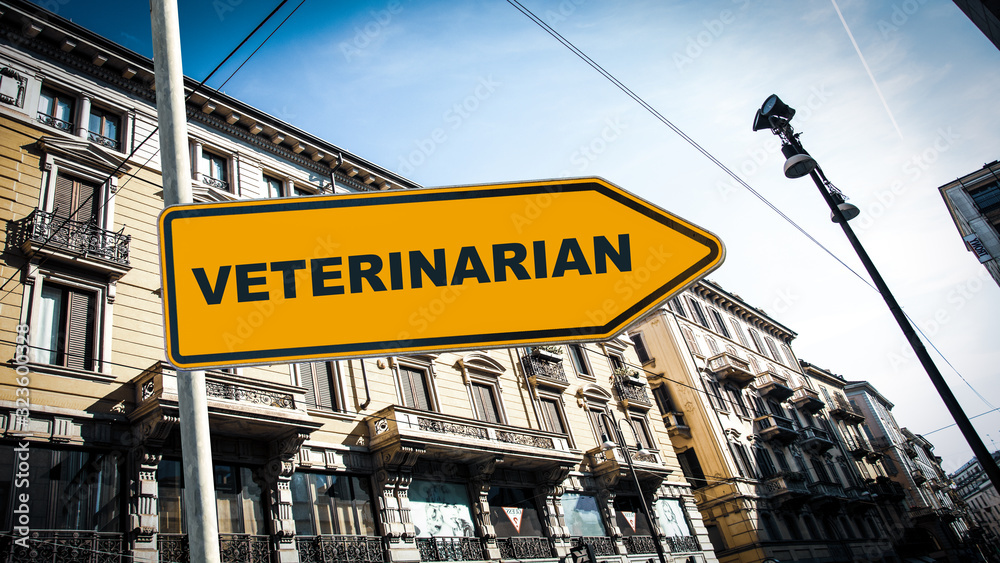 Fototapeta premium Street Sign to Veterinarian