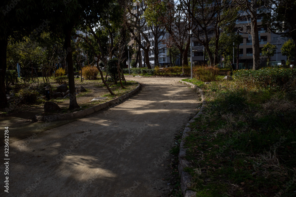 優しい光が公園に