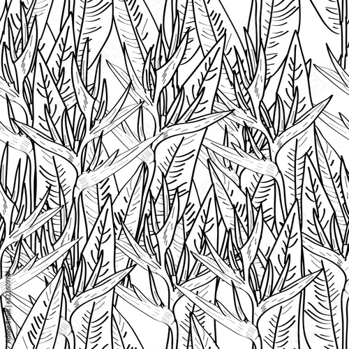 Fototapeta Naklejka Na Ścianę i Meble -  Seamless pattern with strelitzia flowers leaf sketch, black contour white background. simple ornament, Can be used for Gift wrap, fabrics, wallpapers. Vector