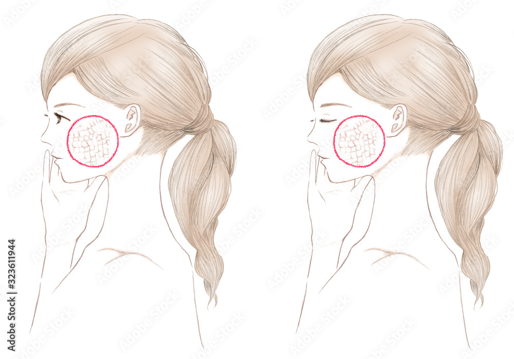 若い女性の肌のキメ Stock イラスト Adobe Stock