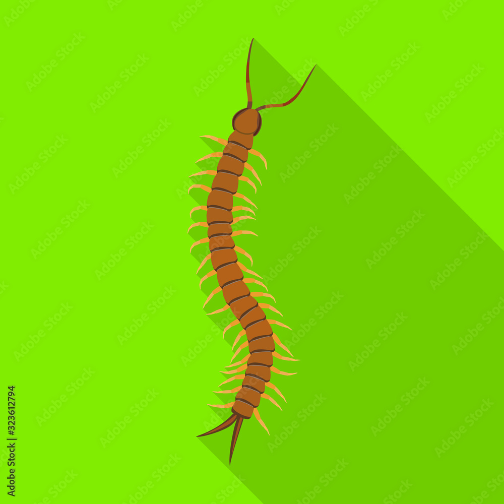 Obraz premium Centipede vector icon.Flat vector icon isolated on white background centipede .