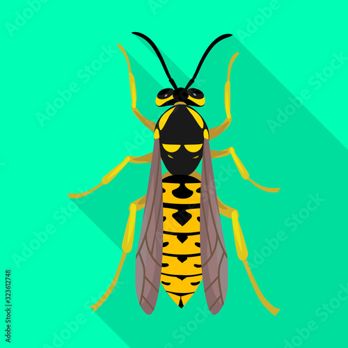 Hornet vector icon.Flat vector icon isolated on white background hornet.