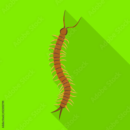 Fototapeta Centipede vector icon