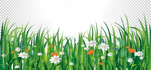 Summer flowers and grass on transparent background vector illustration. Colourful blooming plants cartoon style design. Springtime season and floral concept