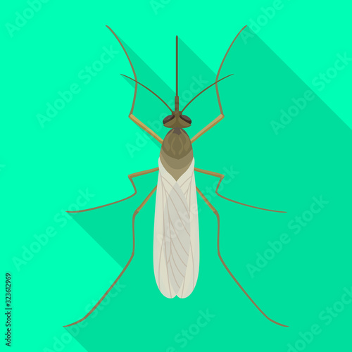 Mosquito vector icon.Flat vector icon isolated on white background mosquito.