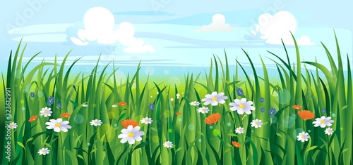 Colourful summer or spring landscape with flowers vector illustration. Green meadow with daisies cartoon style design. Warm season and picturesque scenery background