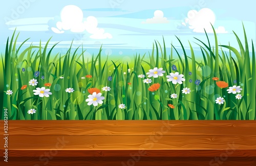 Spring landscape with colourful flowers and wooden ground vector illustration. Picturesque blue sky and clouds cartoon style design. Springtime blooming plants background