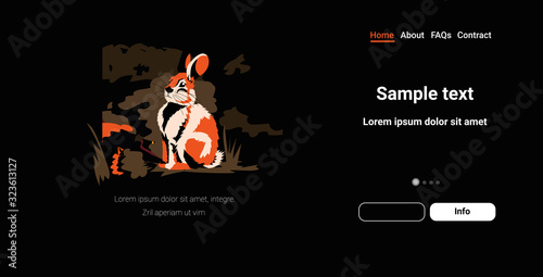 rabbit running from forest fires in australia animals dying in wildfire bushfire natural disaster concept intense orange flames horizontal copy space vector illustration