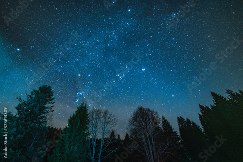 The clear and starry sky above the woods of Sauris, Italy