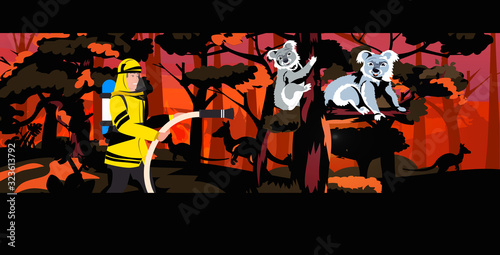 firefighter extinguishing dangerous wildfire in australia fireman saving koalas bushfire natural disaster concept intense orange flames horizontal vector illustration