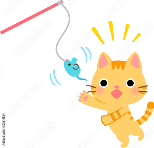 猫じゃらしで遊ぶ猫