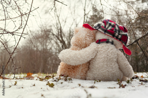 Two Teddy bears hugging each other sitting in the snow in the forest. The concept of love, relationships.