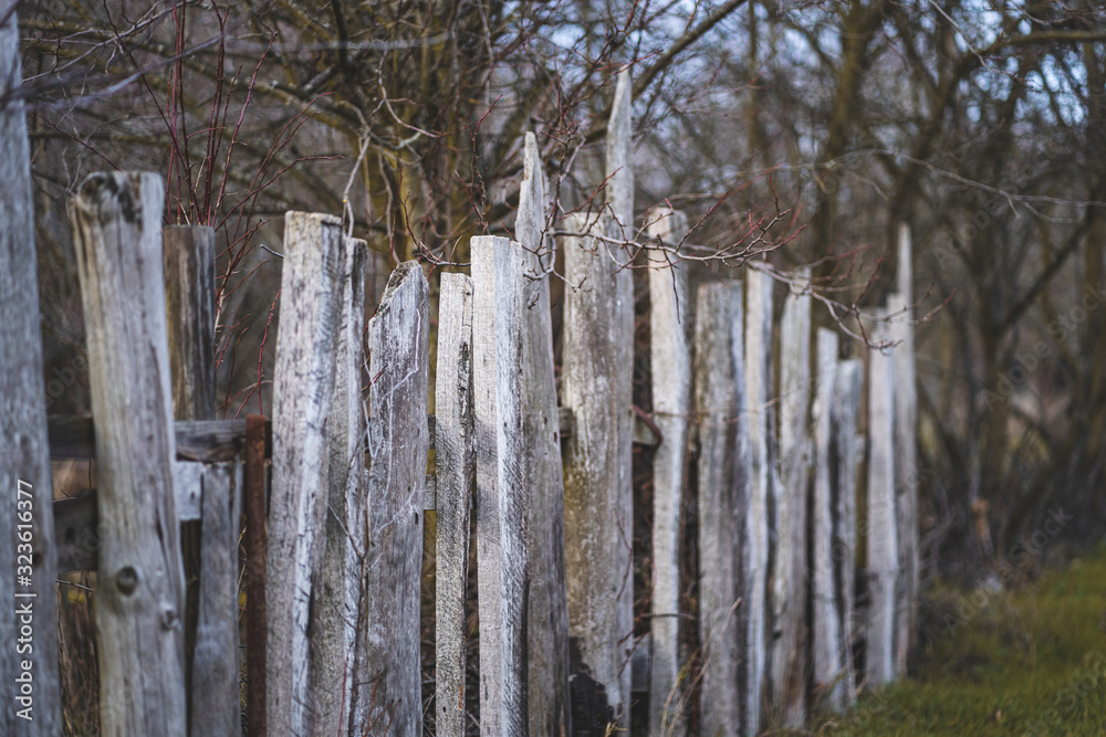 Old Rotten Paling in Winter Old Rotten Paling in Winter