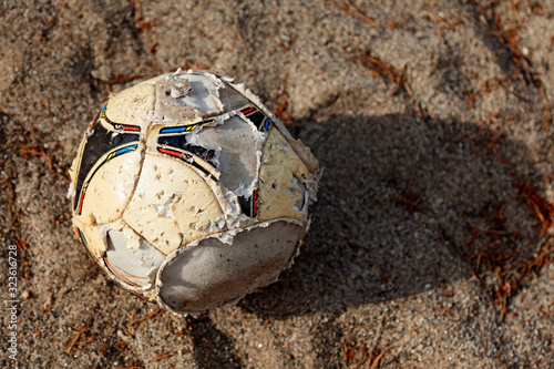 football almost shredded by dogs photo