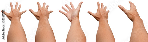 GROUP OF Male Asian hand gestures isolated over the white background. Soft Grab Action. Touch Action.