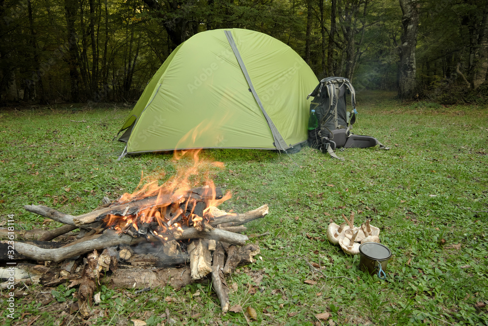 Green Tent, Backpack, Campfire, Mushrooms And Cup On Grass Green Tent, Backpack, Campfire, Mushrooms And Cup On Grass
