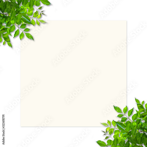 Green Leafs frame card on white background.
