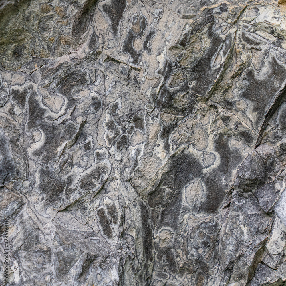 texture of rock texture of rock