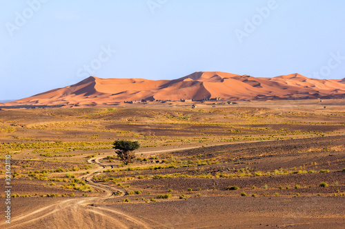 Stony plateau with curvy drive path with sand dunes at the background in the Sahara desert