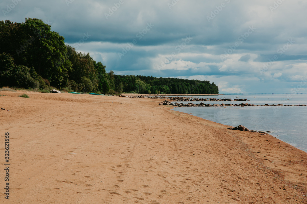 the beach and forest the beach and forest