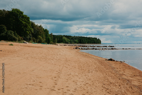 the beach and forest