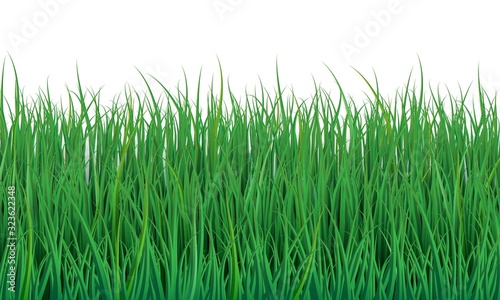 Green grass background. Beautiful meadow