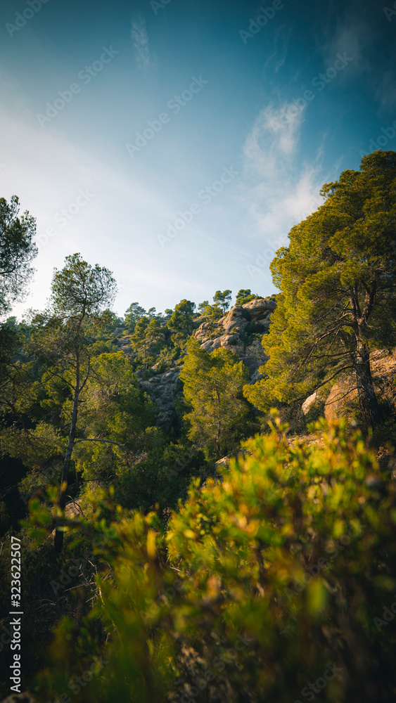 Montserrat adds in full swing