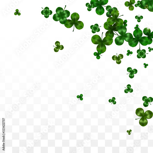 Vector Clover Leaf  Isolated on Transparent Background with Space for Text. St. Patrick s Day Illustration. Ireland s Lucky Shamrock Poster. Invintation for Concert in Pub. Top View. Success Symbols.